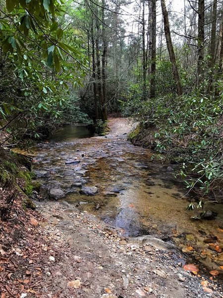 A wet creek crossing