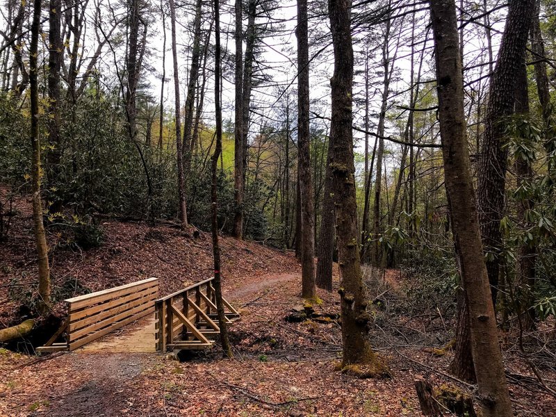 The trail features sturdy bridges built for the horses