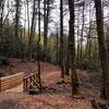 The trail features sturdy bridges built for the horses