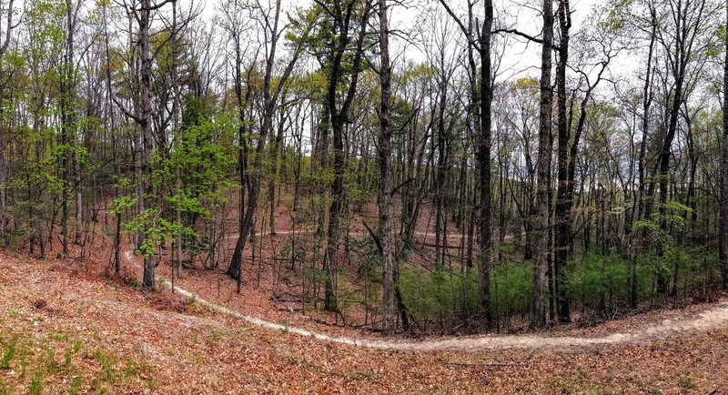 The trail curves along the hillside