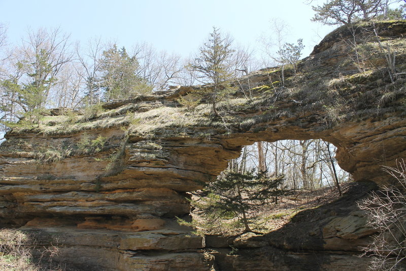 Natural Bridge at Natural Bridge State Park