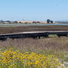 50-acre Arrowhead Marsh