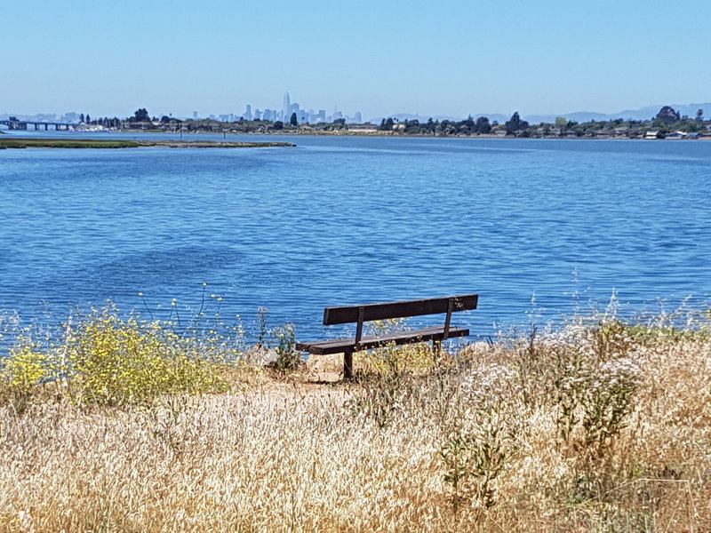 View of San Francisco from the trail