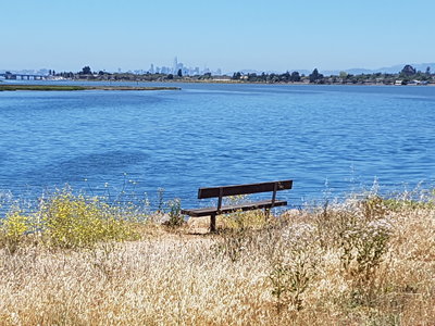 View of San Francisco from the trail
