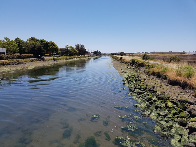 San Leandro Creek