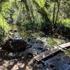 Planks for stream crossing and provided in several places in this part of the canyon.