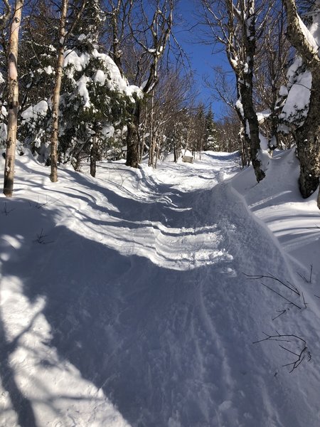 Good slope to sled down