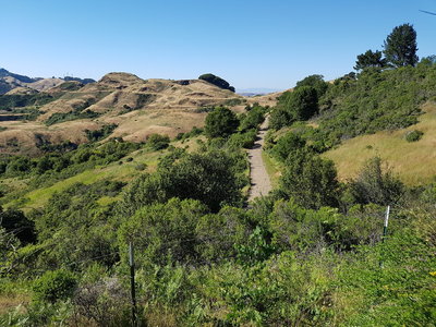View from the Water Tank