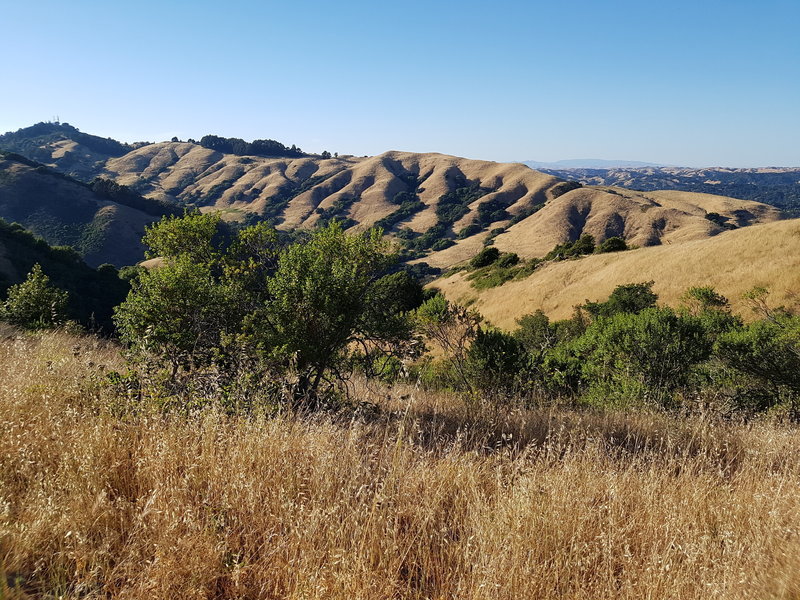 Sign #11: Siesta Valley