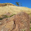 Sign #8: "This huge, reddish-brown block of lava fell from the cliffs to the upper right. The lava cooled and hardened while it was still moving, resulting in dramatic fragmentation, known as "autobrecciation" (self broken)."