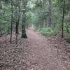 Smooth trail on Strawberry Hill Trail