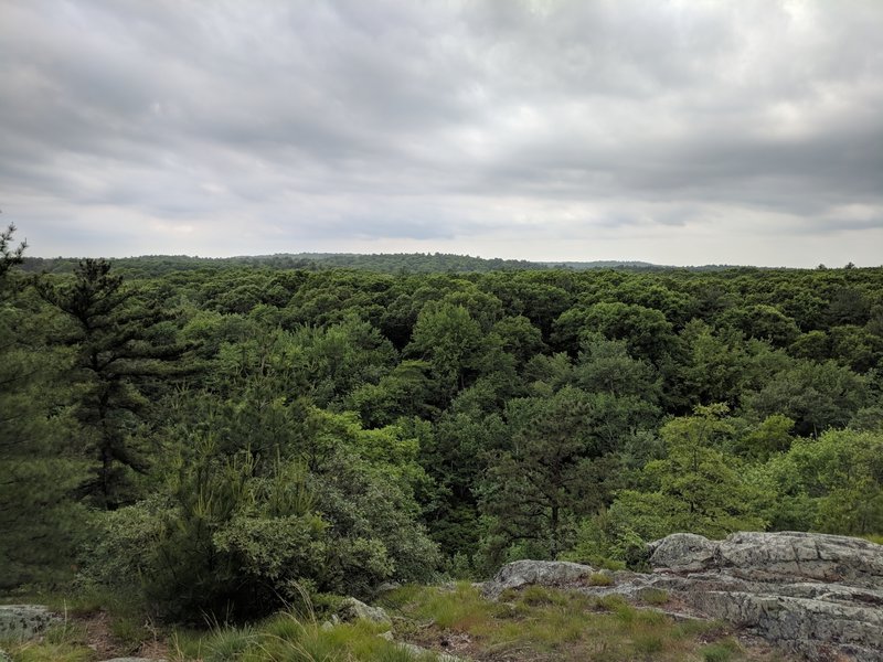 View of Noanet Woodlands from Nimrod Rock