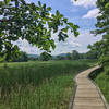 Appalachian Trail Boardwalk