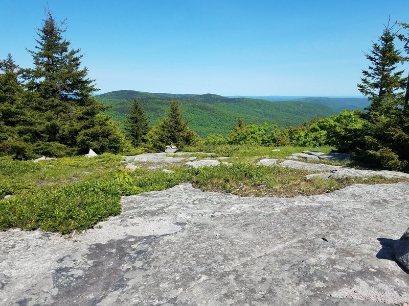 Looking east from the end of the Old Piper Trail