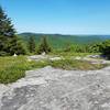 Looking east from the end of the Old Piper Trail