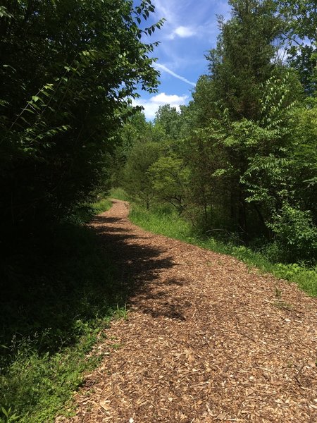 Huge doubletrack