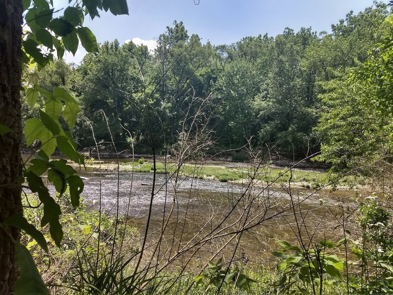 View of Williams Creek