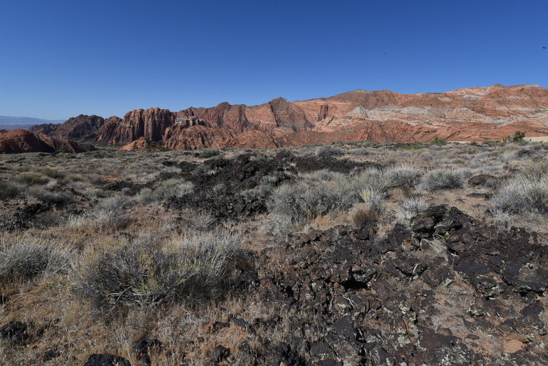 View from Lava Flow Trail