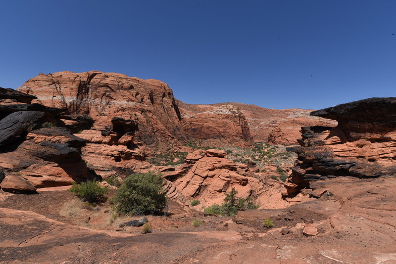 Petrified Dunes view point