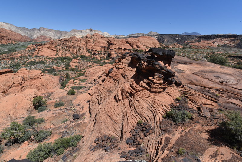 Petrified Dunes view point