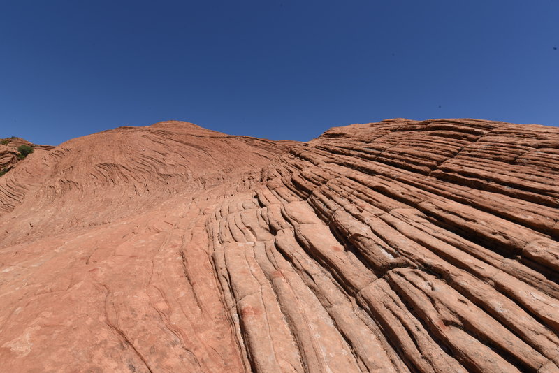 Petrified Dunes trail