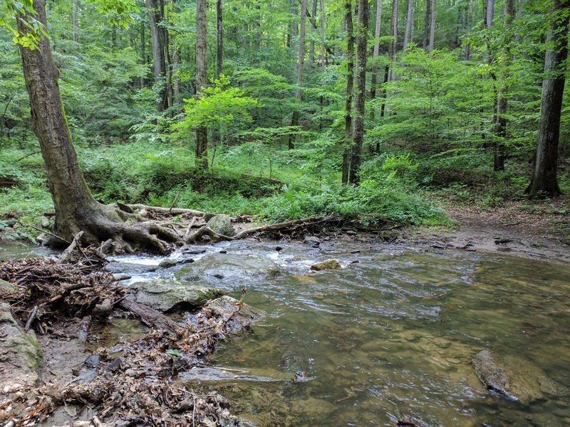 Overshot Run stream crossing