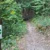 Steep drop into a culvert, the easiest of two options