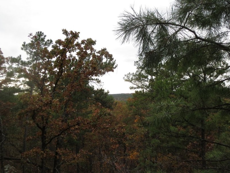 Looking across the canyon at the North Rim