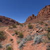 Padre Canyon Trail