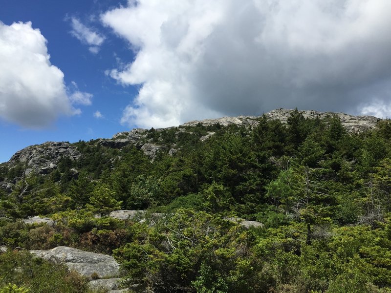 Looking up towards the summit