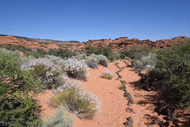 Three Ponds Trail