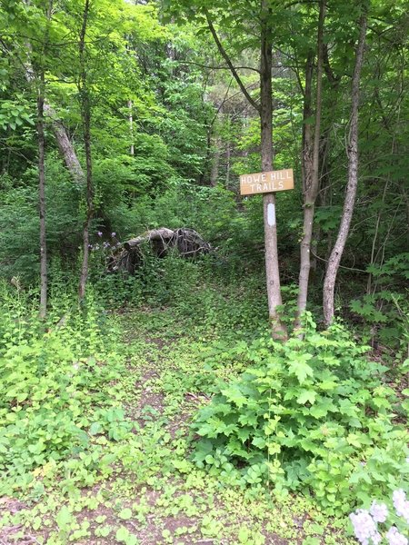 TrailHead to Howe Hill Trails