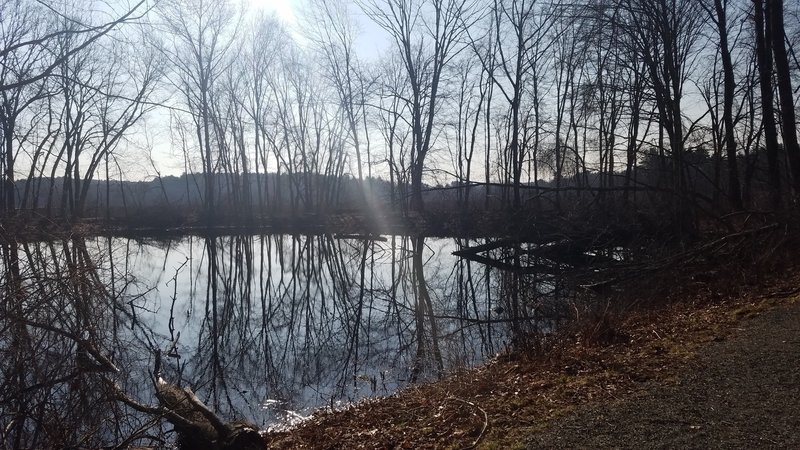 Peaceful lake at the Fish and Wildlife Services Headquarters