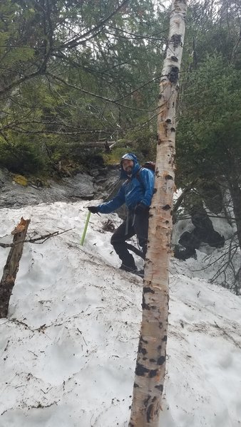 Winter approach of Lion's Head Trail