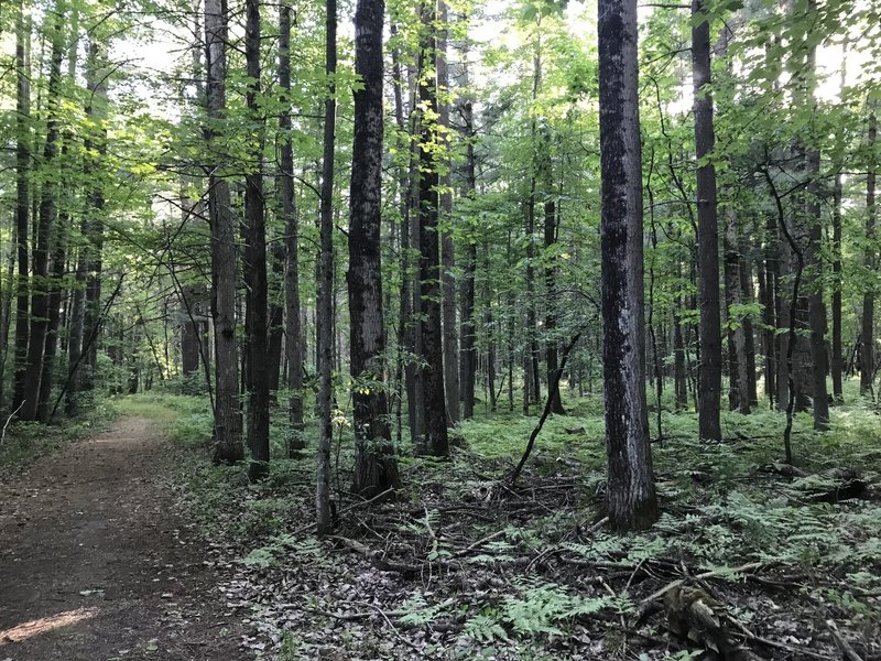 Trailhead a little ways into the park.