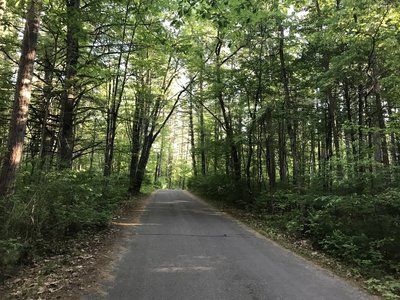 The main road through the park.