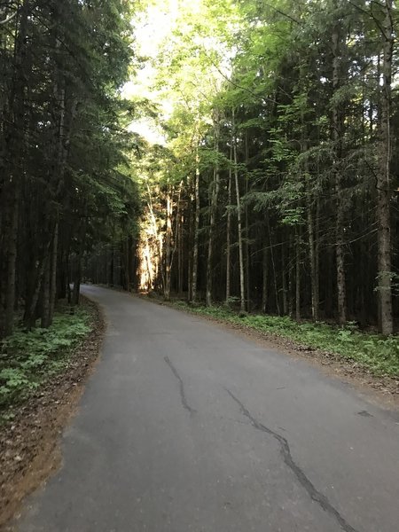 Main road through the park.