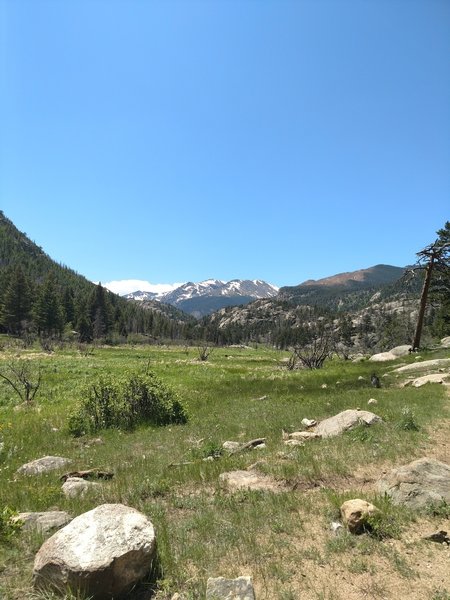 Meadow overlook