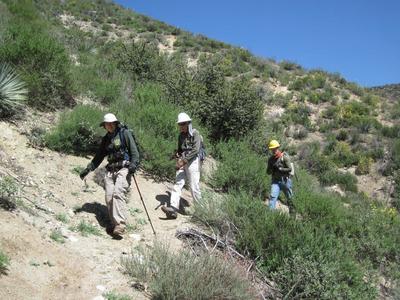Trail Canyon Trail above Lazy Lucas camp in area recovering from fire.