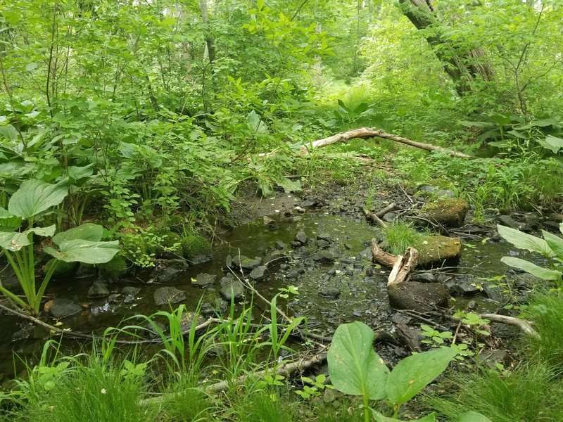 Highland Park Trail - somewhat abandoned and short - better for hiking or leaving to nature