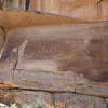 Petroglyphs from the trail