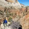 angels landing descent, Zion NP