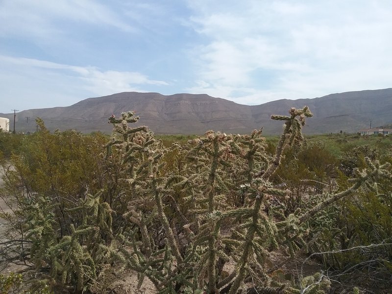 Looking NE on the trail.