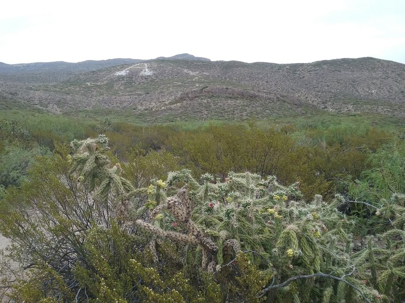 Beginning of the trail and the big A