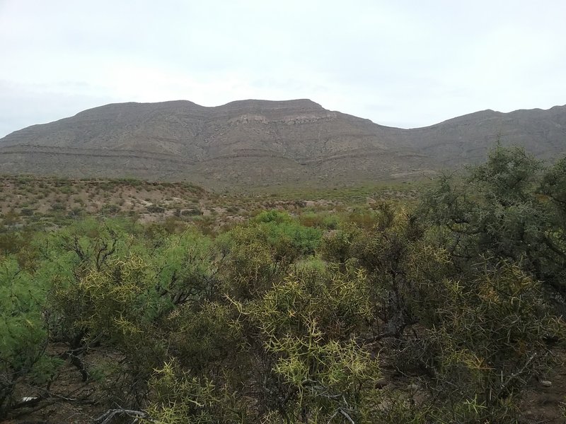 View of the Sacramento Mountains