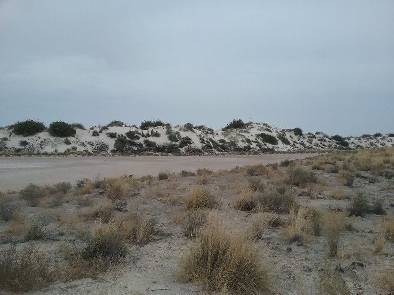 View of the dunes