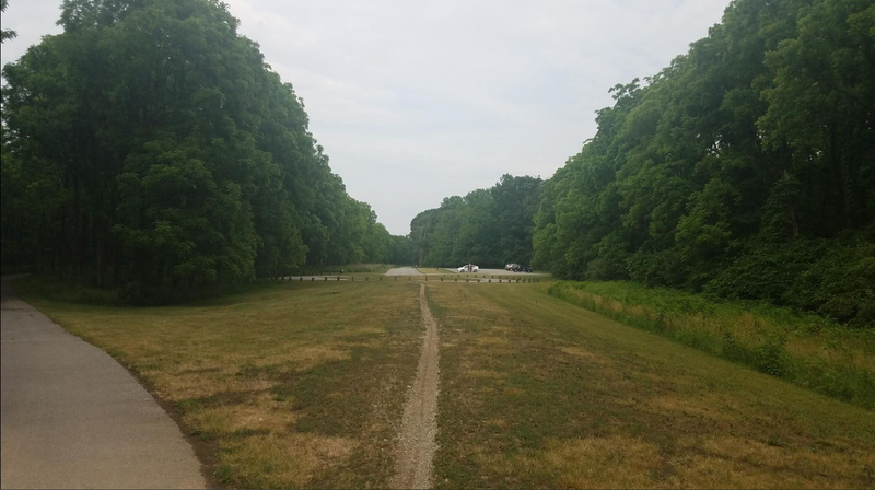 Looking down the road