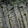 The wooden ladder used to climb Devils Towers years ago