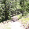 Watrous Gulch Trail