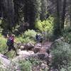 Boulder hopping at the start of the trail, just below FR231.